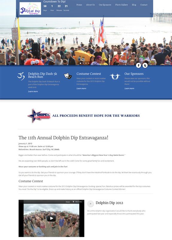Non Profit Web Design | Dolphin Dip