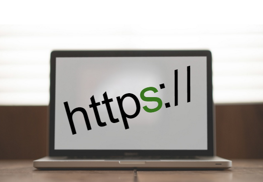 Protect Your Website