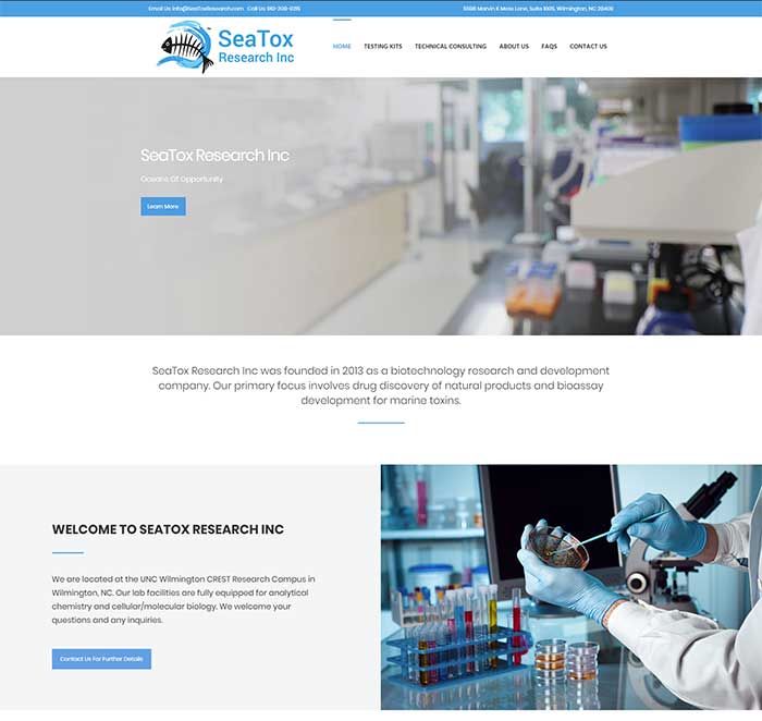 Website Design