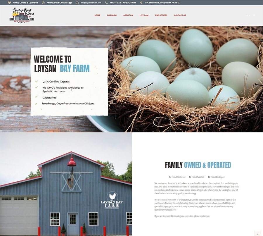 Landing Page Design