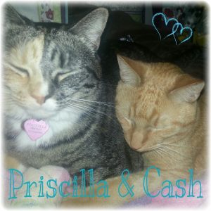 pric&cash